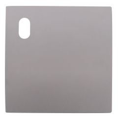 200 EXTERIOR PLATE WITH CYLINDER HOLE LH