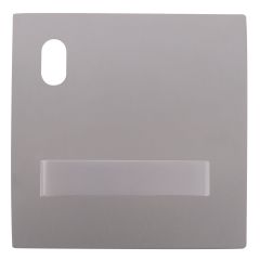 200 EXTERIOR PLATE WITH CYLINDER HOLE & 96 LEVER LH