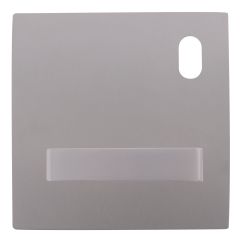 200 EXTERIOR PLATE WITH CYLINDER HOLE & 96 LEVER RH
