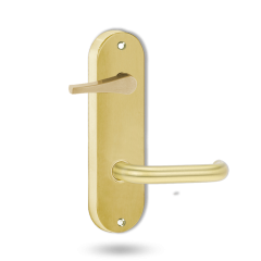 2939 ROUND END PLATE WITH DISABLED TURN & 70 LEVER POLISHED BRASS UNLACQUERED