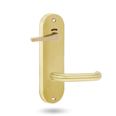 2941 ROUND END PLATE PRIVACY IND DISABLED TURN & 70 LEVER POLISHED BRASS UNLACQUERED