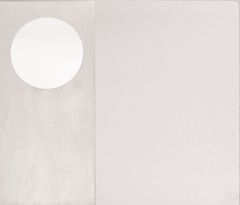 DETENTION PLATE CONCEALED FIX - CYLINDER ONLY LH STAINLESS STEEL