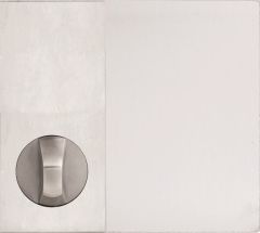 DETENTION PLATE CONCEALED FIX - KNOB 21 ONLY LH STAINLESS STEEL