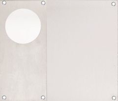 DETENTION PLATE VISIBLE FIX - CYLINDER ONLY LH STAINLESS STEEL