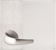 DETENTION PLATE VISIBLE FIX - LEVER 23 LH ONLY STAINLESS STEEL
