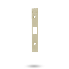 3571 SERIES FACEPLATE POLISHED BRASS