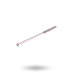 SCREW EXT MC12/15 80MM