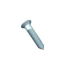 SCR 6Gx12.5mm C/SK BLUNT SS (Pack of 10)