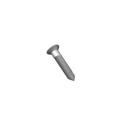SCR 6Gx14.5mm C/SK BLUNT SS (Pack of 10)