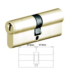 EURO CYLINDER FIXED CAM 5PIN DBL KEY 31/31 POLISHED BRASS