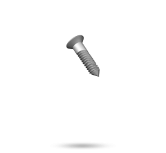 SCR 6Gx8MM CSK BLUNT SS 200