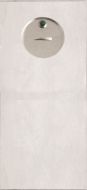 DETENTION PLATE NARROW CONCEALED FIX - PRIV IND EMERG TURN ONLY STAINLESS STEEL