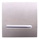 EXT PLAIN PLATE & LEVER STAINLESS STEEL