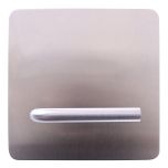 EXT PLAIN PLATE & LEVER STAINLESS STEEL