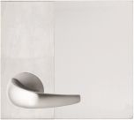 DETENTION PLATE CONCEALED FIX - LEVER 23 ONLY LH STAINLESS STEEL