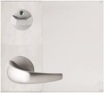 DETENTION PLATE VISIBLE FIX - PRIV IND EMERG TURN WITH LEVER 23 LH STAINLESS STEEL